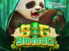 Springbok casino bonus codes41